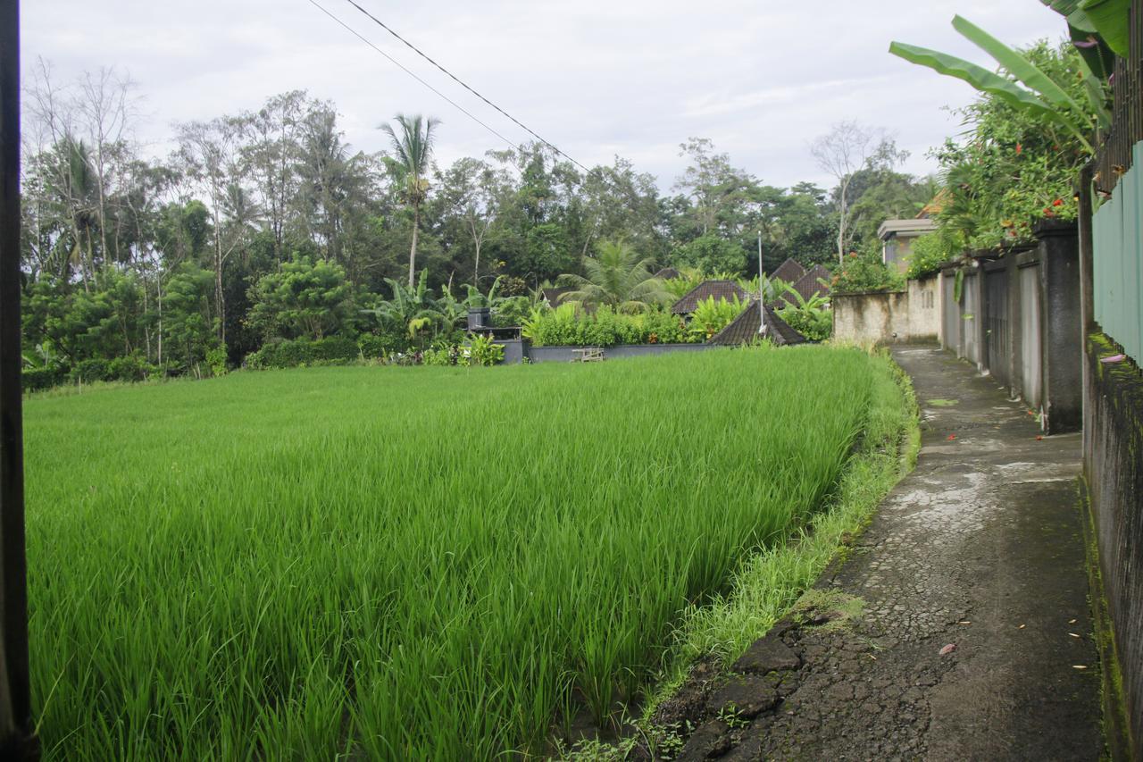 Ratna Villa 4 Ubud  Exterior photo
